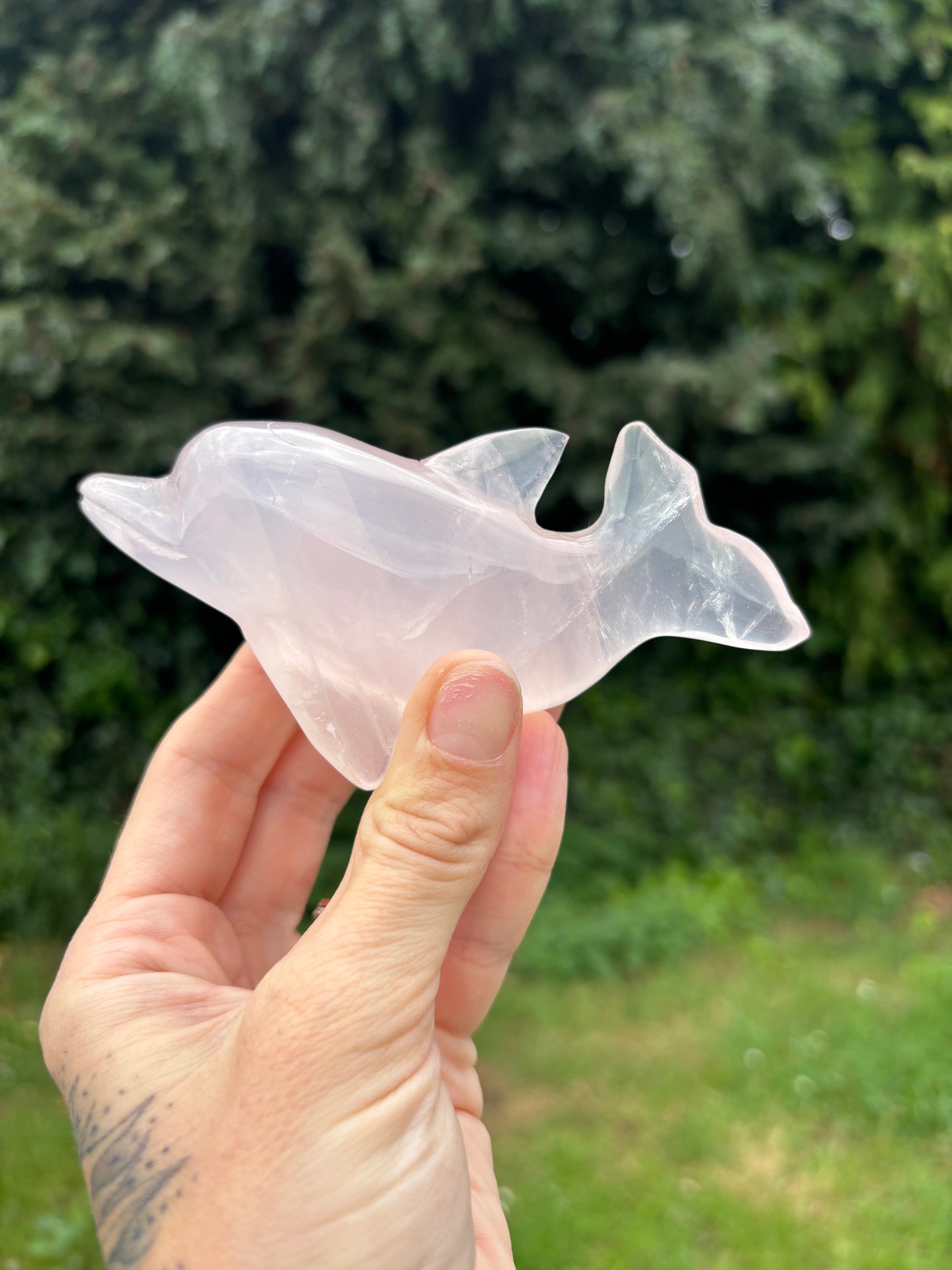 Rose quartz dolphin