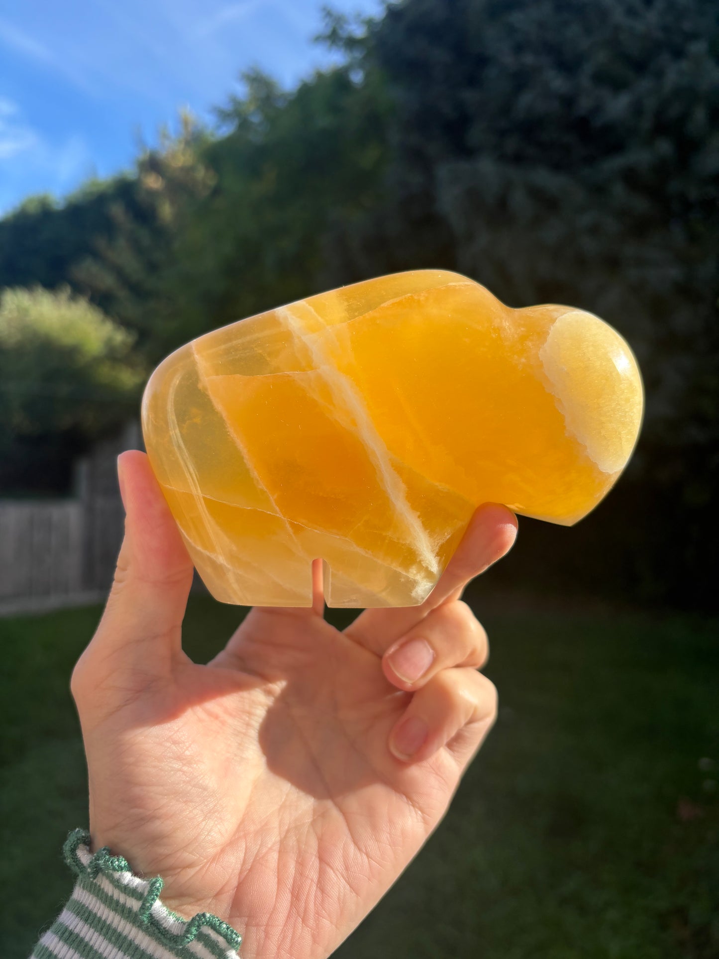 Orange calcite buffalo