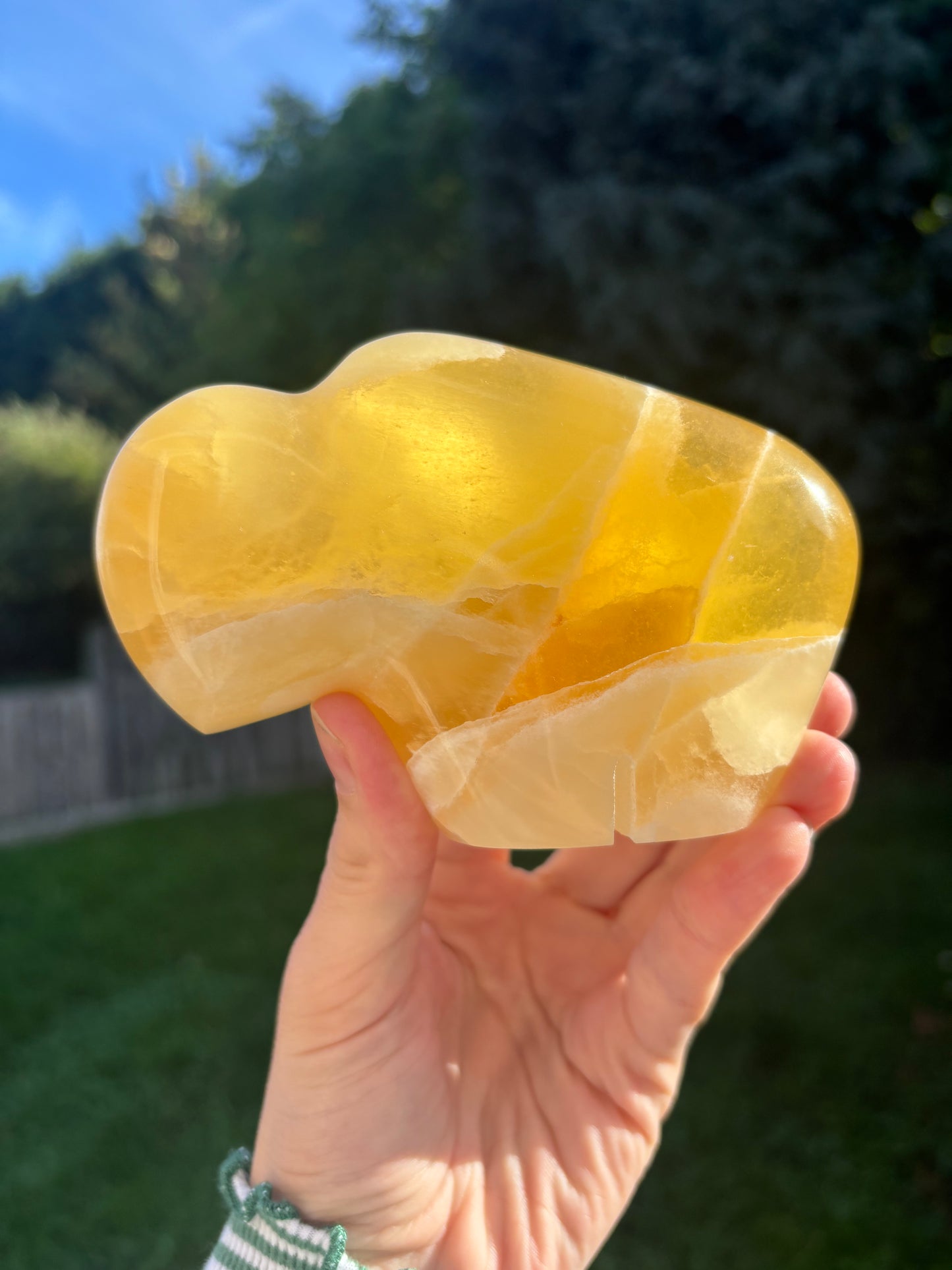 Orange calcite buffalo