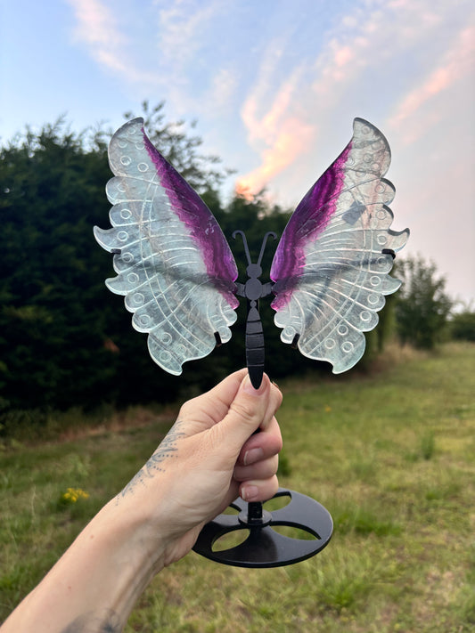 Fluorite wings