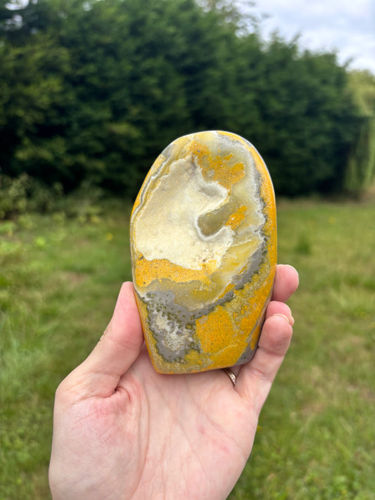 Bumblebee jasper freeform