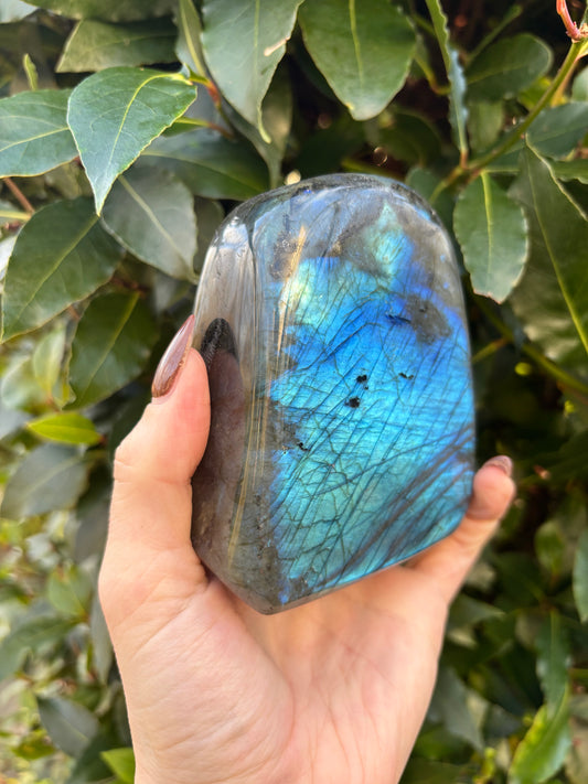Labradorite Freeform
