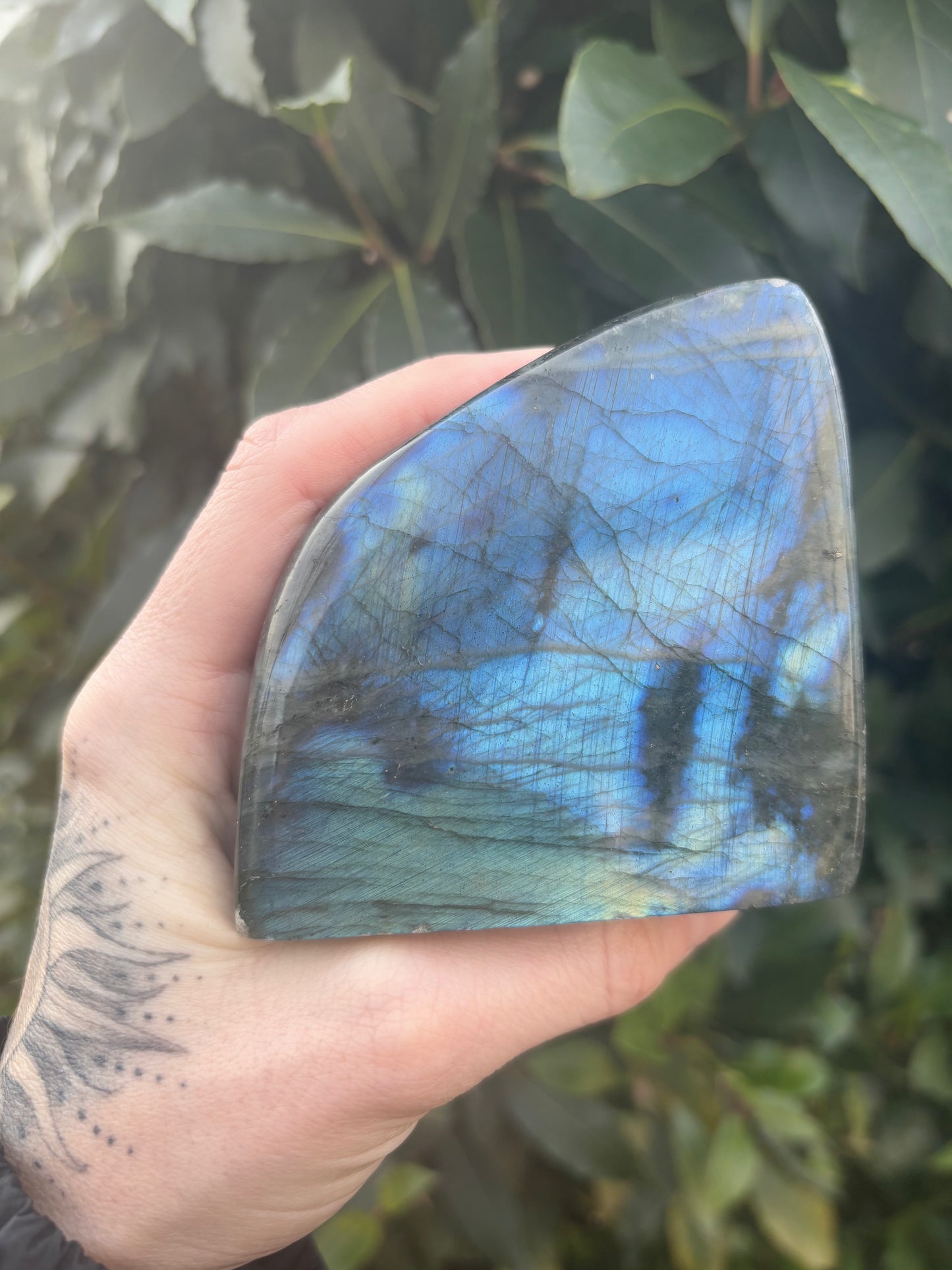 Labradorite Freeform