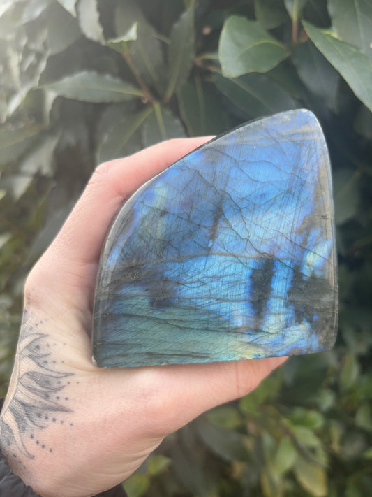 Labradorite Freeform