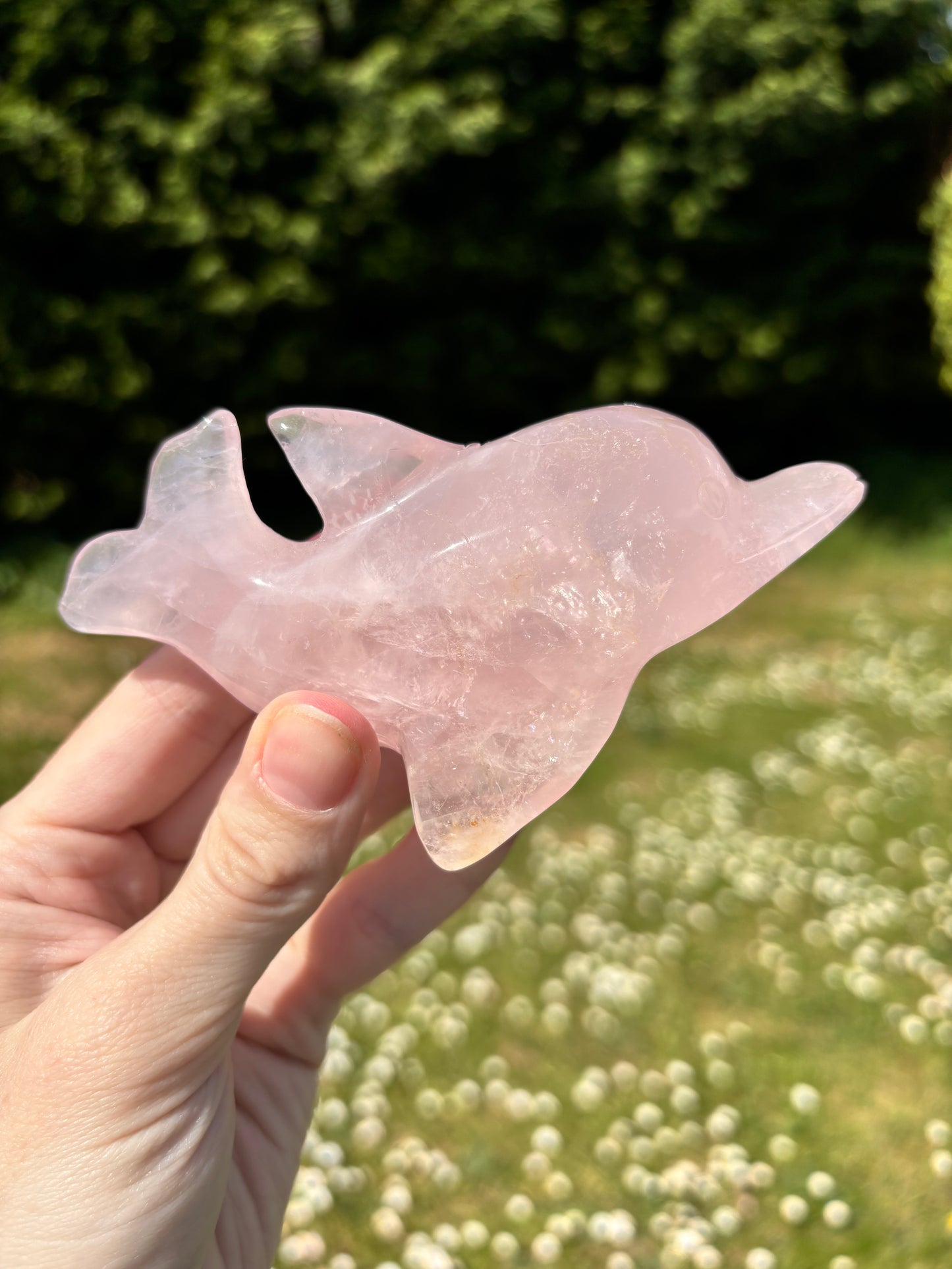 Rose quartz Dolphin