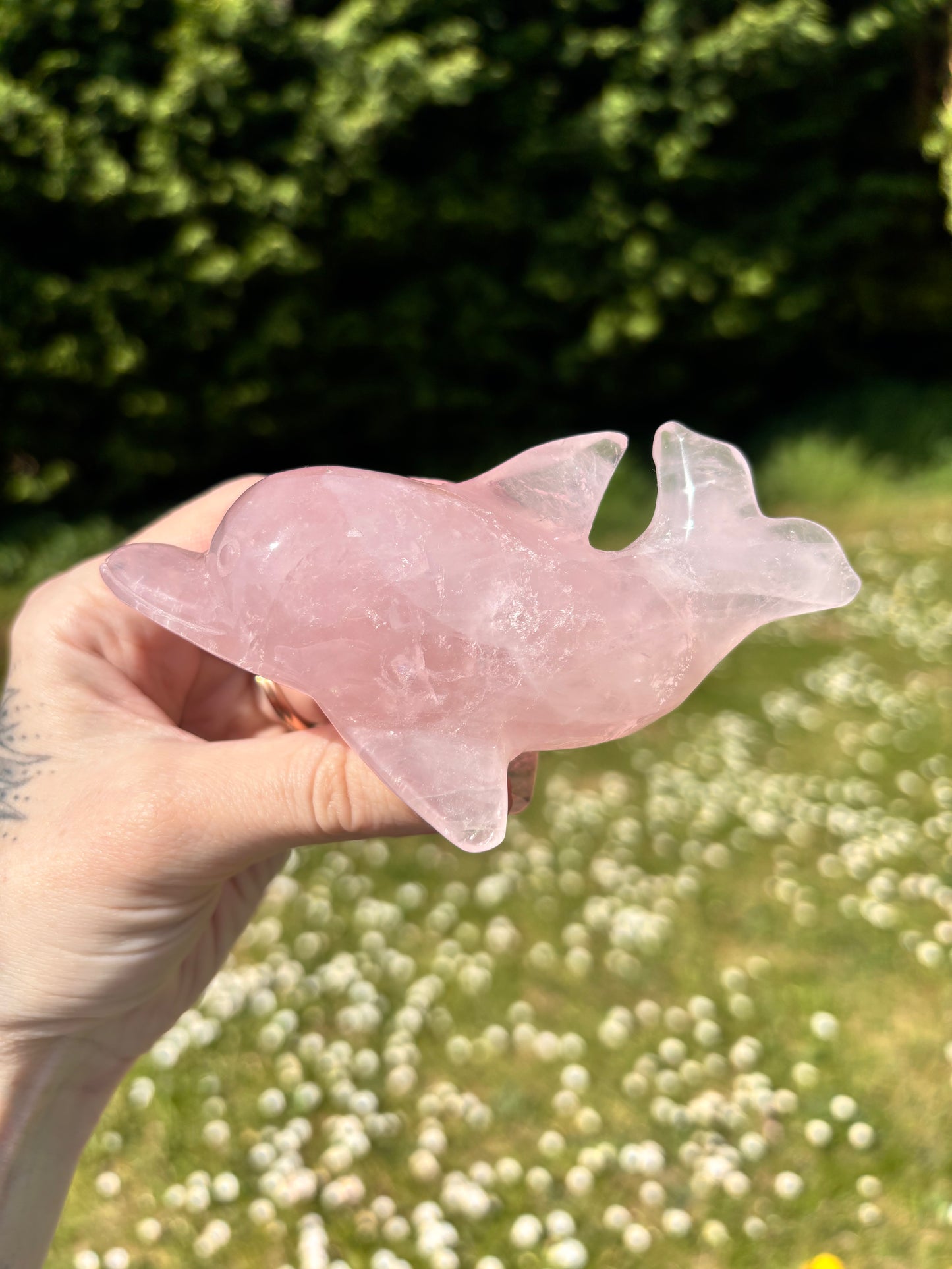 Rose quartz Dolphin